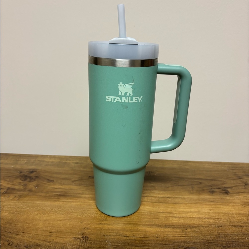 Sage Green 30 oz Stanley